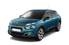 C4 CACTUS